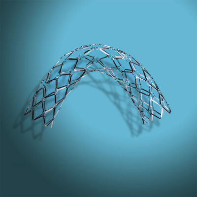 balloon expandable stents stent palmaz cordis intervene portfolio