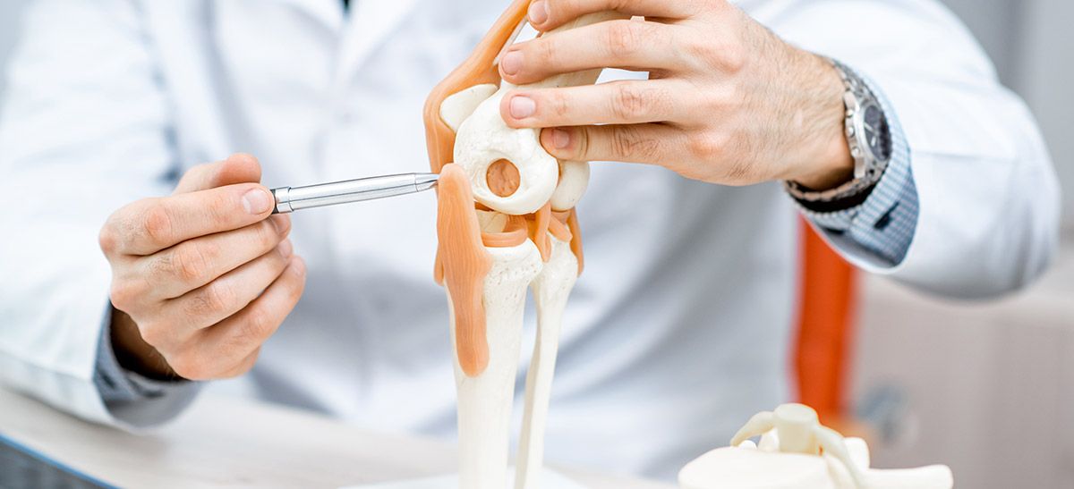 Image of a doctor working on a knee joint model