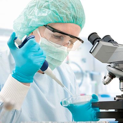 Lab technician sitting in front of microscope adding specimen to a petri dish with a pipette.