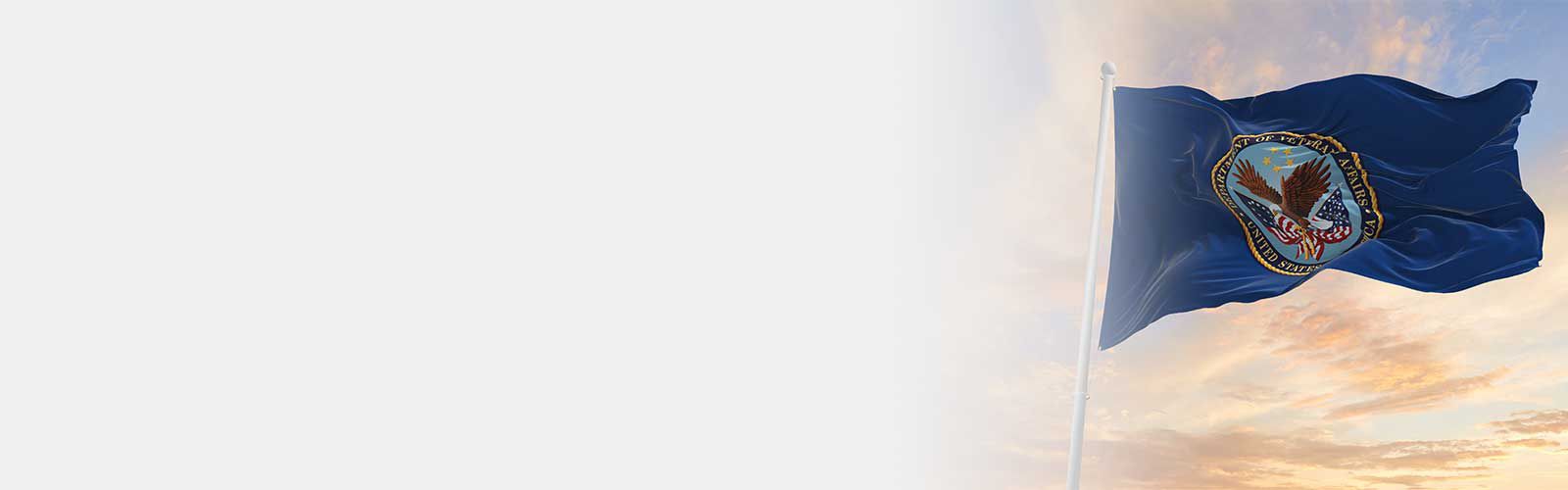 VA Prime Vendor Program