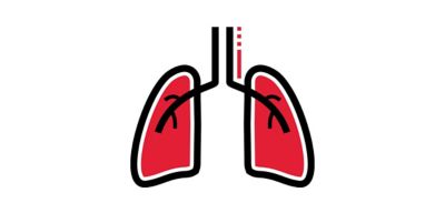 Icon illustration of lungs.